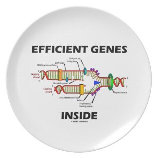 Efficient Genes Inside (DNA Replication) Party Plate
