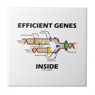 Efficient Genes Inside (DNA Replication) Tile