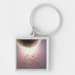Egg being fertilized by sperm keychains