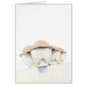 Egg Carton Card by floatinglemons Egg Carton Card