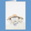 Egg Carton Card