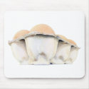 Egg Carton Mousepad by floatinglemons Egg Carton Mousepad
