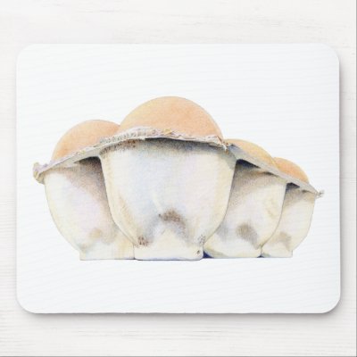 Egg Carton Mousepad by floatinglemons