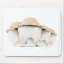 Egg Carton Mousepad