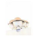 Egg Carton Poster posters by floatinglemons Egg Carton Poster posters