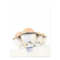 Egg Carton Poster posters by floatinglemons Egg Carton Poster posters
