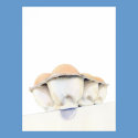 Egg Carton Poster posters