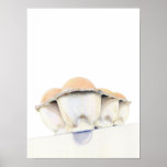 Egg Carton Poster