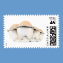 Egg Carton Stamp