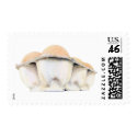 Egg Carton Stamp