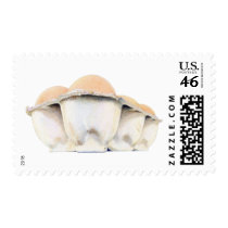 Egg Carton Stamp