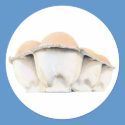 Egg Carton Sticker