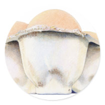 Egg Carton Sticker by floatinglemons Egg Carton Sticker