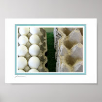 egg cartons poster