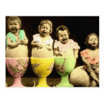 Egg Cup Babies Post Cards