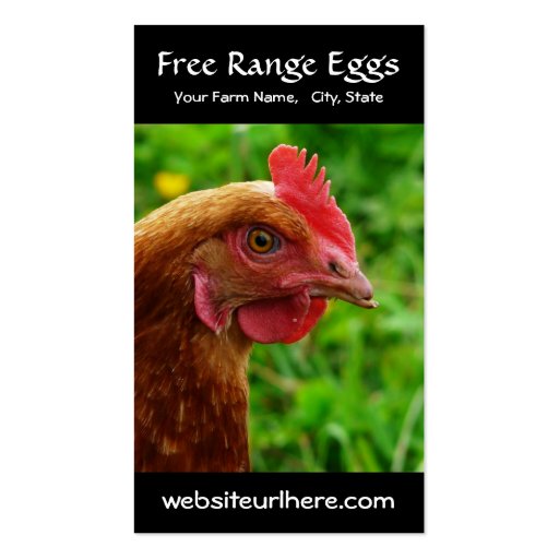 Egg Farming Rural Chicken Photo Business Cards (front side)