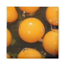 Egg magnets by CathleenTarawhiti Egg magnets