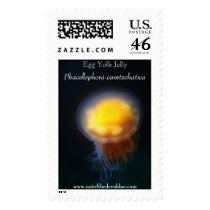 Egg Yolk Jelly postage