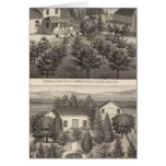 Egger, Haines residences, farms cards