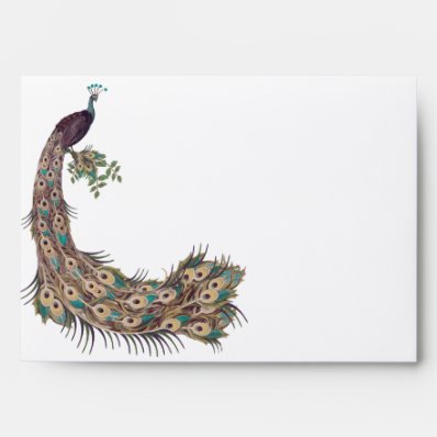 "Eggplant Aqua and Gold Peacock Vintage 3 Feathers Envelope