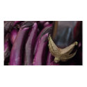 Eggplant business cards