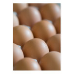 Eggs Business Card Templates