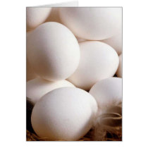 Eggs cards by Recipes101 Eggs cards