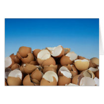 Eggs cards by Recipes101 Eggs cards