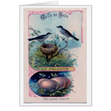 Eggs in a Nest, Greeting Card
