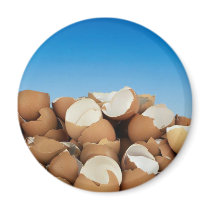 Eggs magnets by Recipes101 Eggs magnets