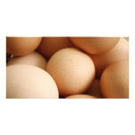 Eggs photo cards