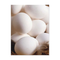 Eggs postcards by Recipes101 Eggs postcards
