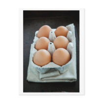 Eggs postcards