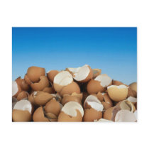 Eggs postcards by Recipes101 Eggs postcards