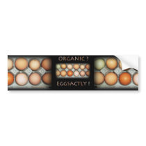 EGGSACTLY bumper stickers by oceandudes EGGSACTLY bumper stickers