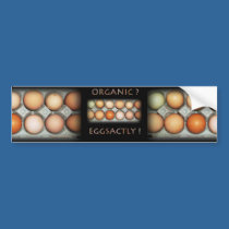 EGGSACTLY bumper stickers