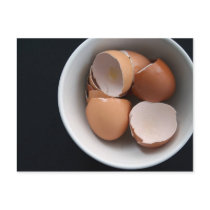 Eggshells Postcards