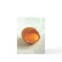 Eggtastic cards