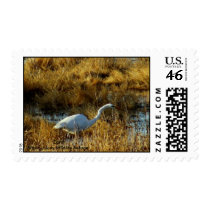 Egret Bitter Lakes Wildlife Refuge.. Postage Stamp