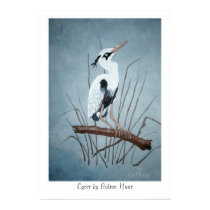 Egret by Colton Hunt posters