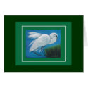 Egret,  card