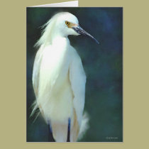 Egret cards by William63 Egret cards