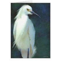 Egret cards by William63 Egret cards