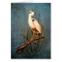 Egret card