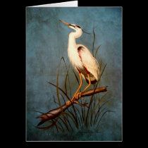 Egret cards by SherryHolderHunt Egret cards