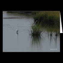 Egret Card