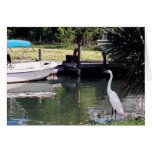 Egret Card