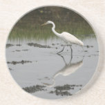 Egret Coaster