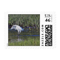 Egret Fishing stamps