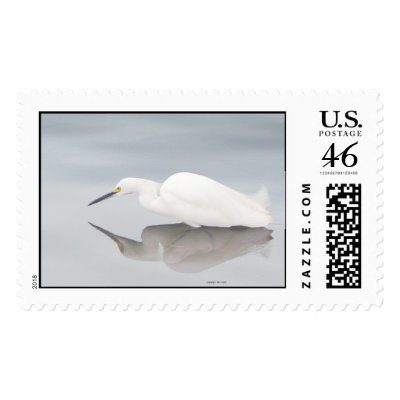 Egret in Mist copyright 2005 - Customized Postage